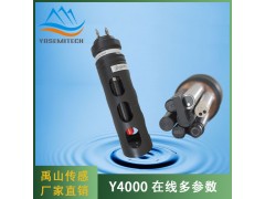 Y4000在线多参数传感器