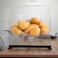 全息透明玻璃投影膜 正背投双面成像玻璃膜 门店玻璃橱窗展示