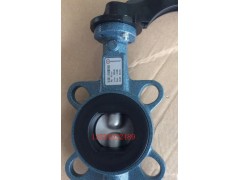 原装正品德国依博罗Z011-A手动蝶阀DN100图1
