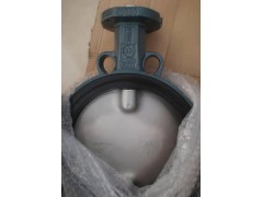 德国依博罗EBRO光杆蝶阀原装正品价格优惠图1