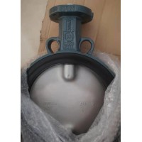 德国依博罗EBRO光杆蝶阀原装正品价格优惠