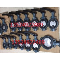 原装正品德国EBRO依博罗手动蝶阀Z011-A