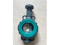 原装正品直销德国EBRO依博罗光杆蝶阀DN40-DN300图1