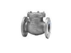 原装正品德国艾瑞ARI蒸汽止回阀图1