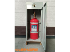 七氟丙烷灭火器双柜式气体灭火装置GQQ40灭火药剂机房商用图2