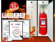 七氟丙烷灭火器双柜式气体灭火装置GQQ40灭火药剂机房商用图3