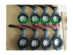 原装正品Z001-A型德国依博罗蝶阀 DN40-DN500规格齐全图4