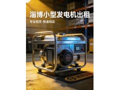 淄博发电机租赁 活动220V发电机出租 淄博机械设备租赁 户外活动供电图3