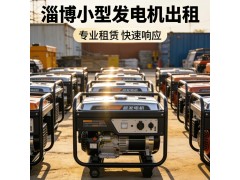 淄博发电机租赁 活动220V发电机出租 淄博机械设备租赁 户外活动供电图2