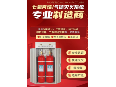 七氟丙烷灭火器双柜式气体灭火装置GQQ40灭火药剂机房商用图2