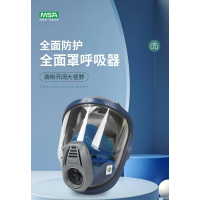 MSA/梅思安 10147997 3100全面罩呼吸器