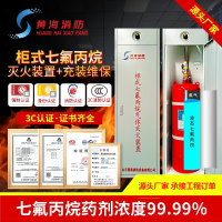 七氟丙烷灭火器双柜式气体灭火装置GQQ40灭火药剂机房商用
