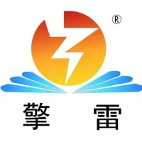 山东擎雷环境科技股份有限公司